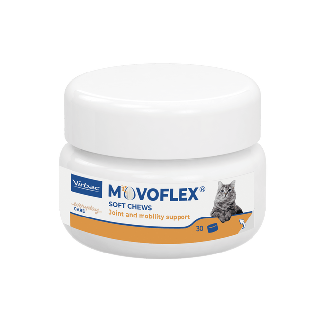 400504_Jar_Movoflex_Cat-x30_face.png