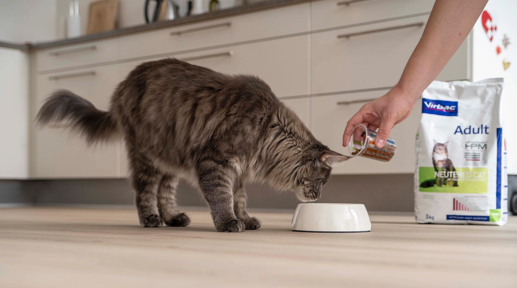 virbac-subscribe-and-save-veterinary-hpm-cat-food.jpg