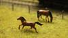 Railscenix OO Gauge Mixed Animal Figures (Set of 15) 1/87 RSC003