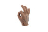 RAPTOR SMU GLOVES