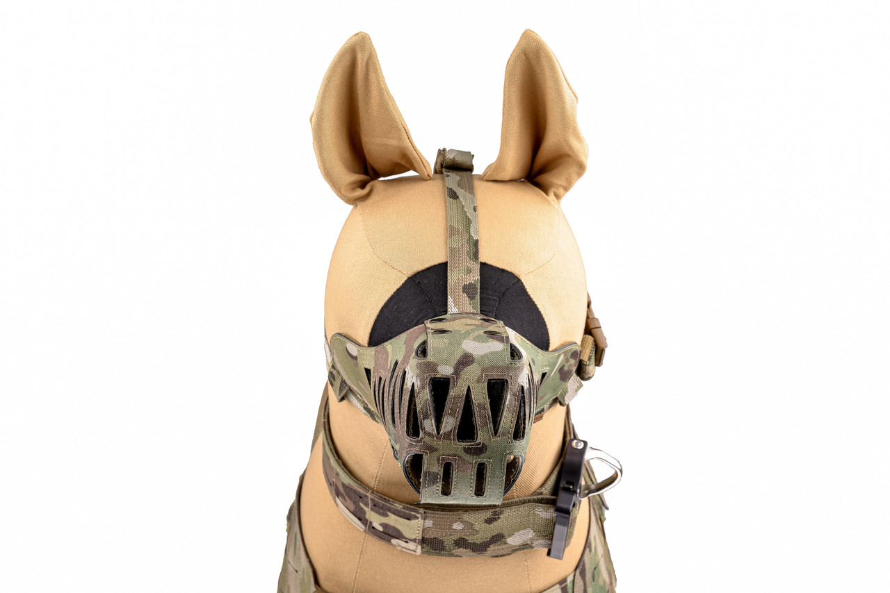 myoukai.dog 51gQHfD3dJL_600x600_crop_cente