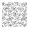 Paper | Rosebush | BW 12x12 (Single-Sided)