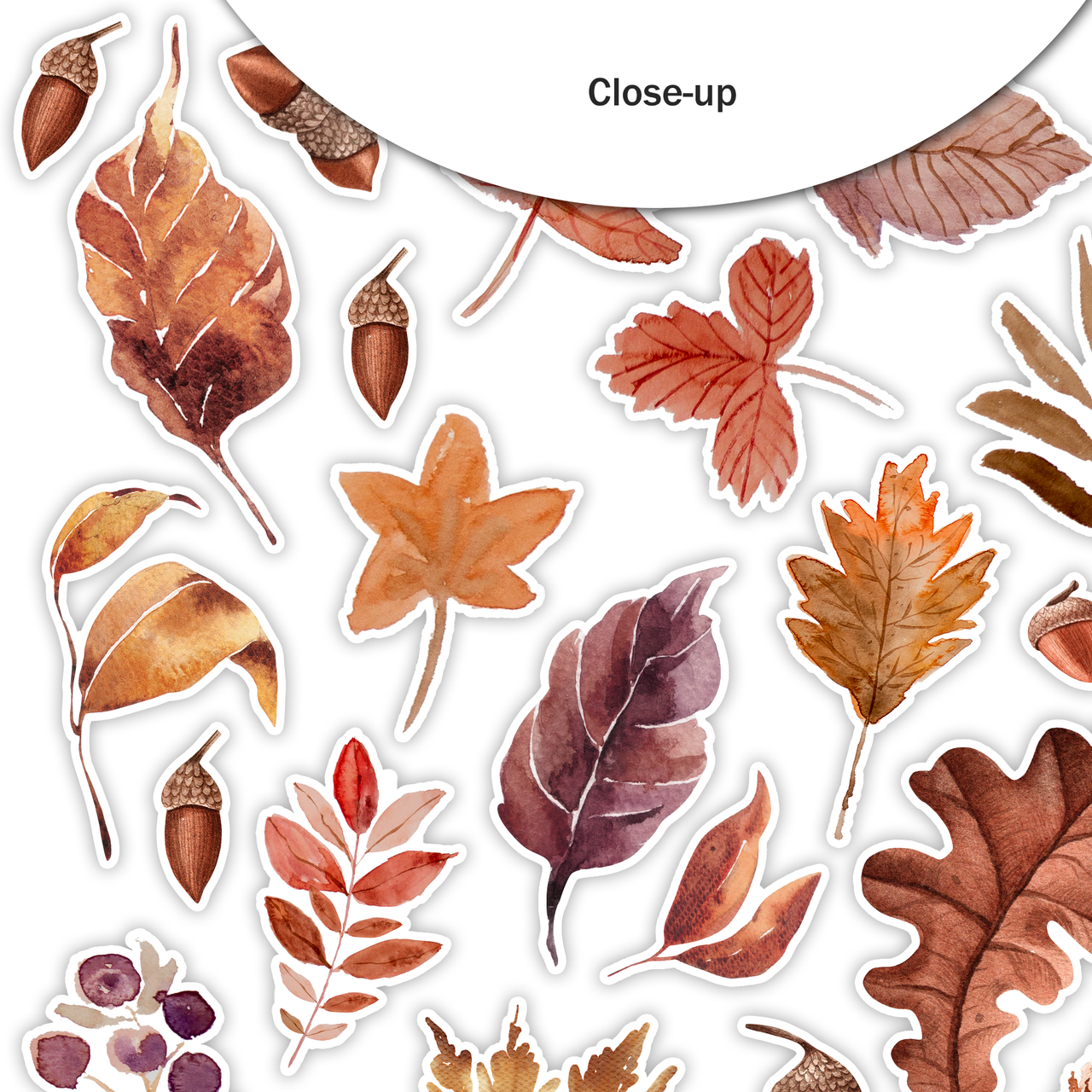 pile of leaves png