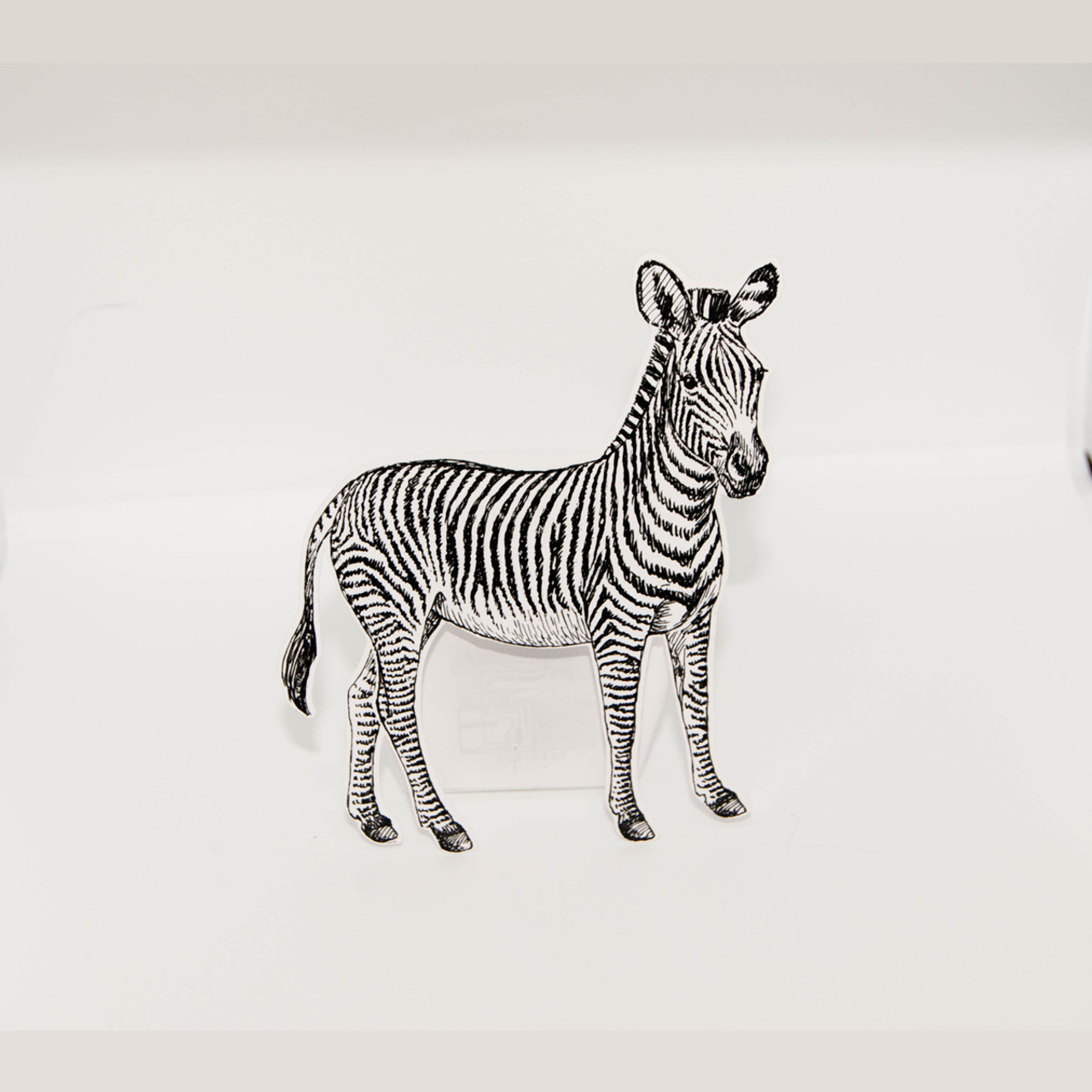 肉筆ペン画！1996年6月Yamitaro作タイトル「ZEBRA」 肉筆ペン画！1996年6月Yamitaro作タイトル「ZEBRA」