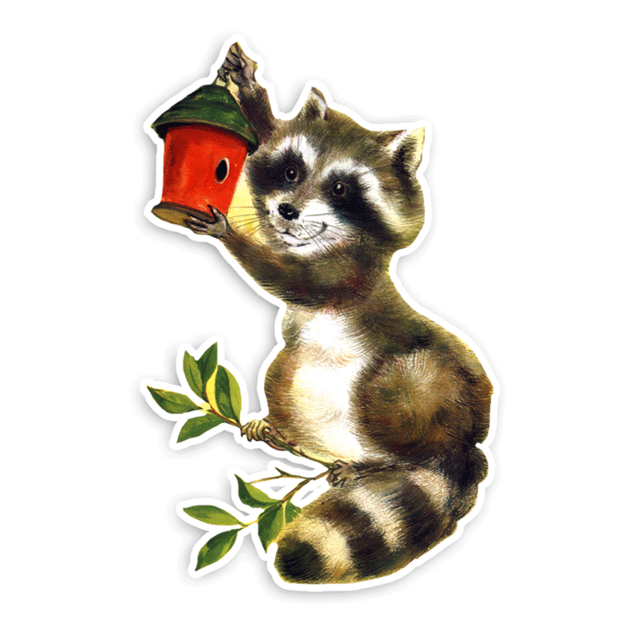 Raccoon Sticker  Historic Jamestowne