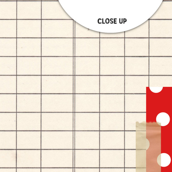 Festive Ledger 12x12 Scrapbooking Paper