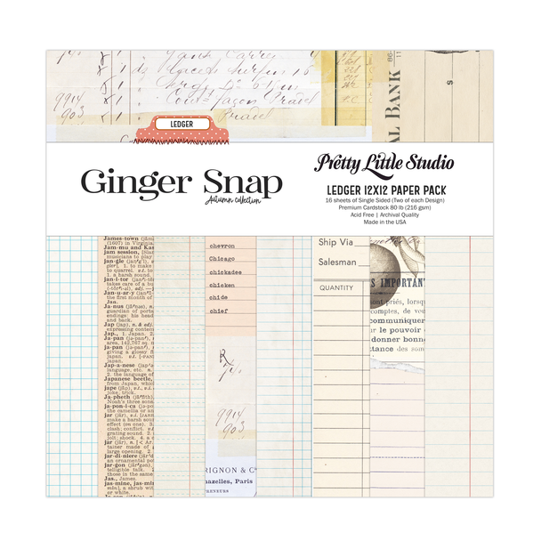 Paper Pack | Ginger Snap LEDGER 12x12 (single-sided)