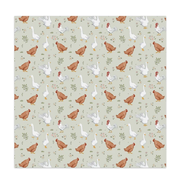 Paper | Fowl Play 12x12 Single Sided