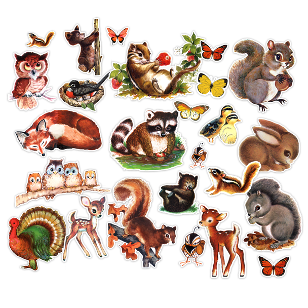 Vintage woodland animal ephemera featuring squirrels, bears, deer, owls, rabbits, birds, butterflies & more, sourced from 1950s–60s books and cards. Made in USA