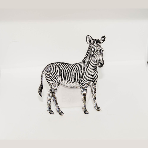 Zebra__91272.1588254712.500.