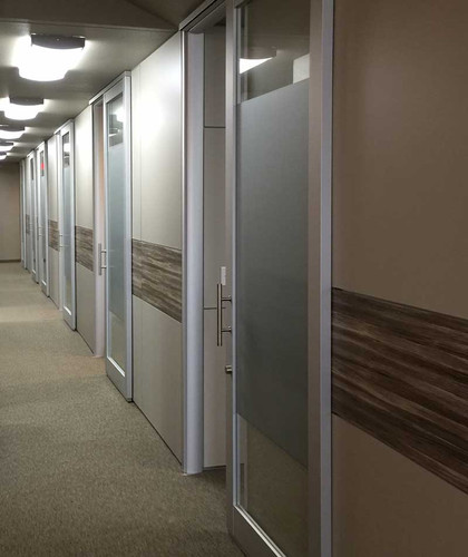 Frosted Privacy Vinyl Film for Conference Rooms, Doors and Windows