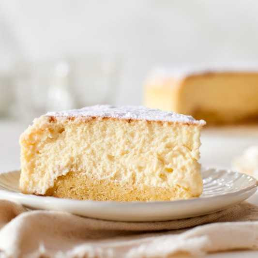 Inch Springform Wilton Cheesecake Pan Wilton Performance Pans