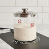 Raisenne Dough Riser with sourdough in Glass Sourdough Crock
