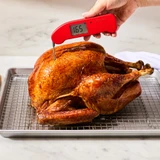 Thermapen One with a turkey