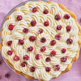 Cranberry cream pie