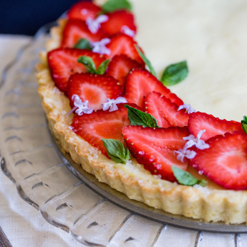 Berry tart made in the tart pan