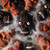 Deliciously Simple Chocolate Cake Mix baked in the Skull pan