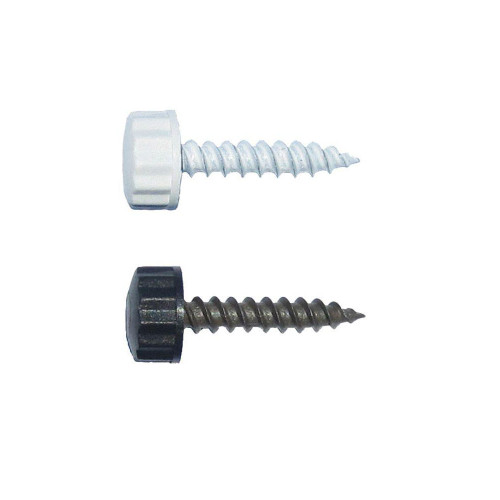 100/Pack Nylon Head 10 x 1" Sheet Metal Screw Choice Of Finish