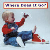 Where Does It Go? (English) by Cheryl Christian