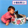 Where's the Kitten? (Simplified Chinese) by Cheryl Christian