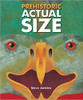Prehistoric Actual Size (Hard Cover) by Steve Jenkins
