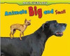 Animals Big and Small (Math Everyday) by Daniel Nunn