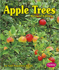 Apple Trees by Gail Saunders-Smith