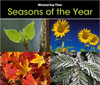 Seasons of the Year by Tracey Steffora