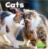 Cats (Our Pets) by Lisa J Amstutz