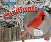 Cardinals by Lisa J Amstutz