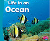 Life in an Ocean by Carol K Lindeen