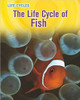 The Life Cycle of Fish by Darlene R Stille