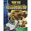 <p>Minerals are chemicals that are the building blocks of rocks. Metals, crystals, and gemstones are all minerals found in rocks. This interesting book describes how to identify minerals, where they can be found, the rock cycle process, the uses of minerals, and how they are mined.</p>