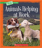 Animals Helping at Work by Ann O Squire