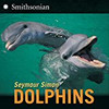 <p>Cute, smart, and approachable, dolphins have long fascinated humans. Simon draws readers beyond this initial captivation into deeper discussions of dolphin species, describing their life cycles and social organization. As always, he guides readers through intricate topics (for example, the potentially confusing dolphin-porpoise-whale terminology) with remarkable clarity</p>