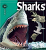 Sharks - Insiders(Hard Cover) by Beverly McMillan