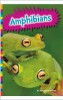 Amphibians (Paperback) Animal Kingdomn by Michelle Levine