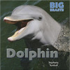 Dolphin - Big Beasts by Stephanie Turnbull