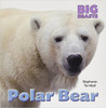 Polar Bear (Paperback) Big Beasts by Stephanie Turnbull