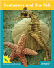 Seahorses and Starfish by Jenna Lee Gleisner