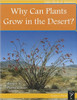 Why Can Plants Grow in the Desert? by Pierre LaTour