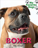 Boxer (Paperback) by Jinny Johnson