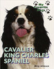 Cavalier King Charles Spaniel (Paperback) by Jinny Johnson