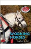 Draft Horses (Paperback) by Stephanie Turnbull