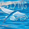 Flying Fish are amazing creatures. They propel out of the water and use their wings to glide through the air! Dive in to learn more about flying fish.