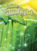 Explores how plants use sunlight to make energy and how plants fit into the food chain.