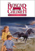 When grandfather and the children vacation off the coast of North Carolina, an old fisherman tells them of the island's ghost horse. That very night Benny sees a mysterious stallion galloping down the beach. Could it be the horse who is thieving from the cottages, or is there someone wandering the misty dunes at night?