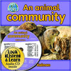 An Animal Community by Bobbie Kalman