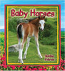 Baby Horses by Bobbie Kalman