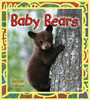 Baby Bears (Paperback) by Bobbie Kalman